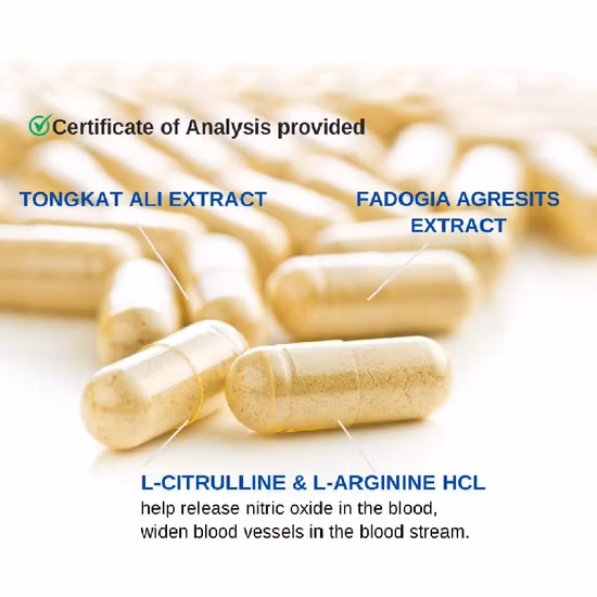 Capsules de poudre à base de plantes spéciales naturelles saines de haute qualité pour les suppléments de santé des hommes