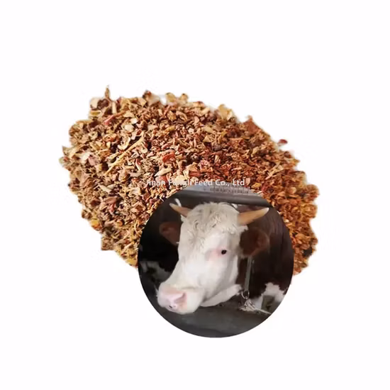 Aliments nutritifs pour animaux Glycine 98,5 % Additifs alimentaires