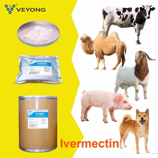Hebei Veyong Ivermectine Ingrédient pharmaceutique actif Médecine vétérinaire du fabricant chinois
