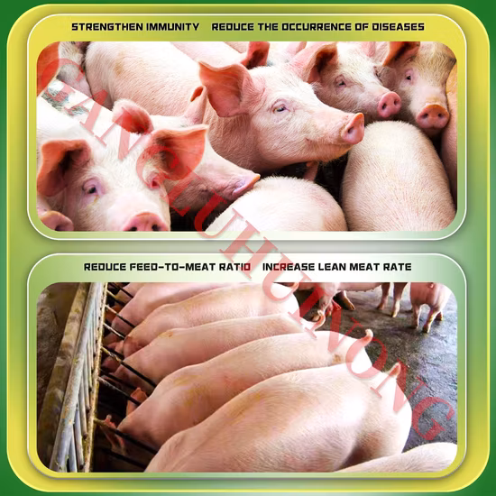  Additif alimentaire prémélangé multivitamines pour animaux.  Microéléments pour Poulet, Canard, Oie, Pigeon et Porc